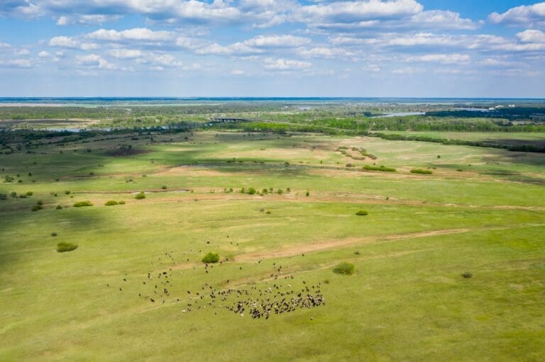 Inherited Land? Consider A Pratt Home!
